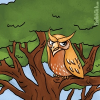 owl sitting in an oak tree